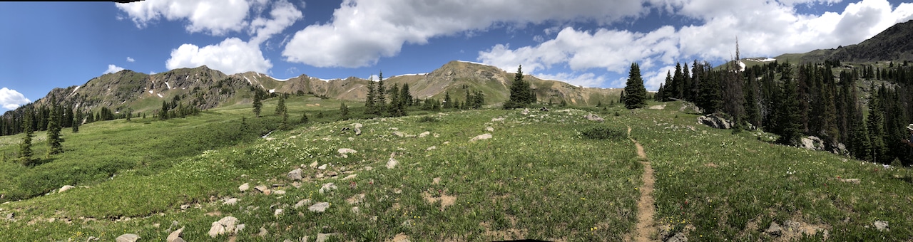 Panorama photo of a valley covered in grass, flowers, and a few sparse trees. Surrounded by a mountain range.