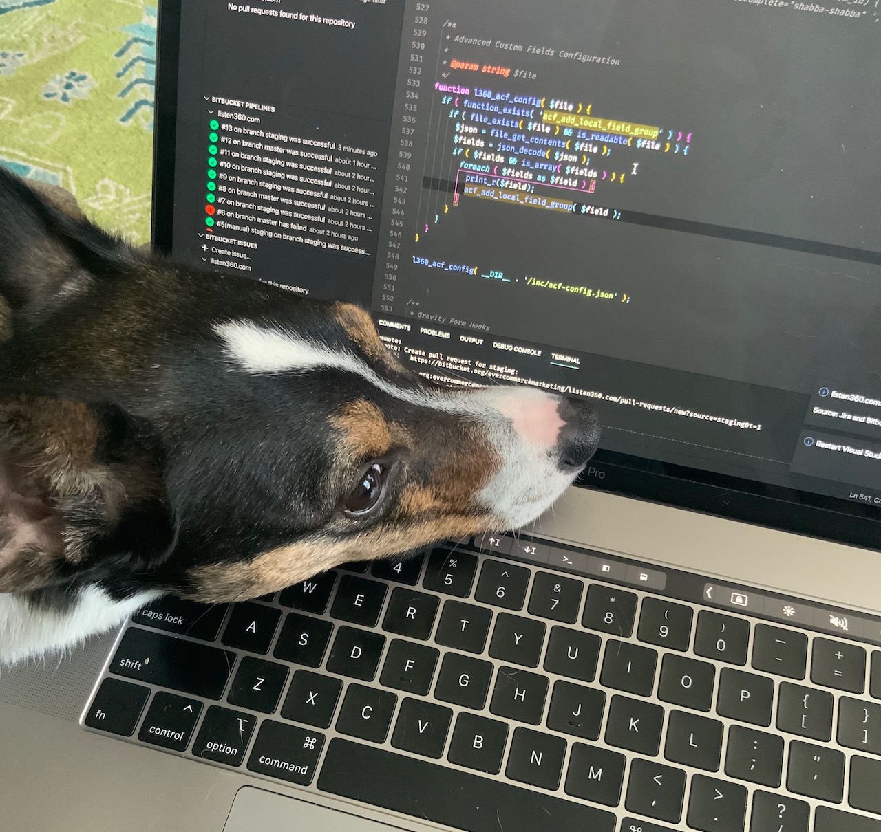 Small dog resting their head on a laptop keyboard