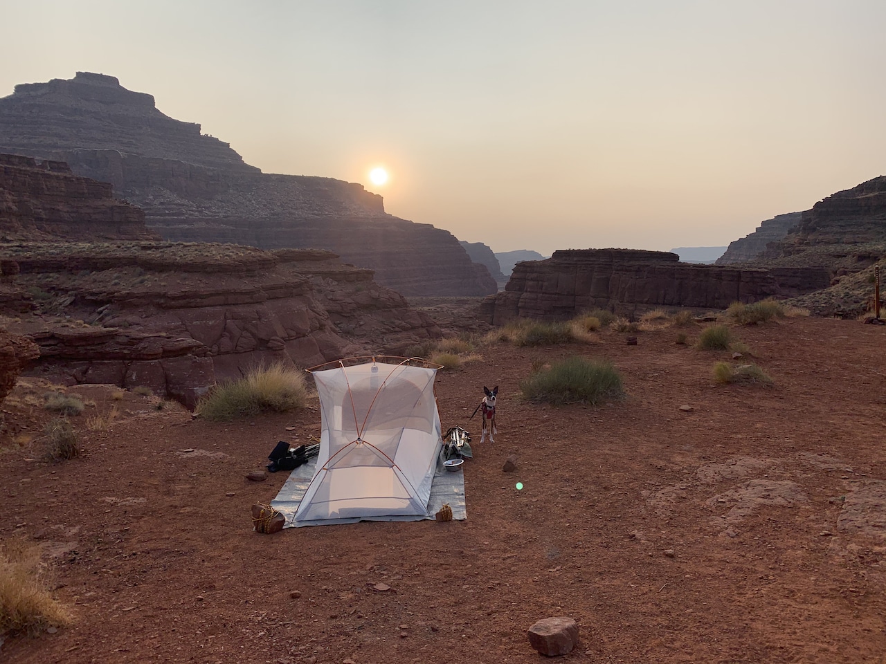 Photo of a tent pitched in the middle of the Utah desert at sunset.